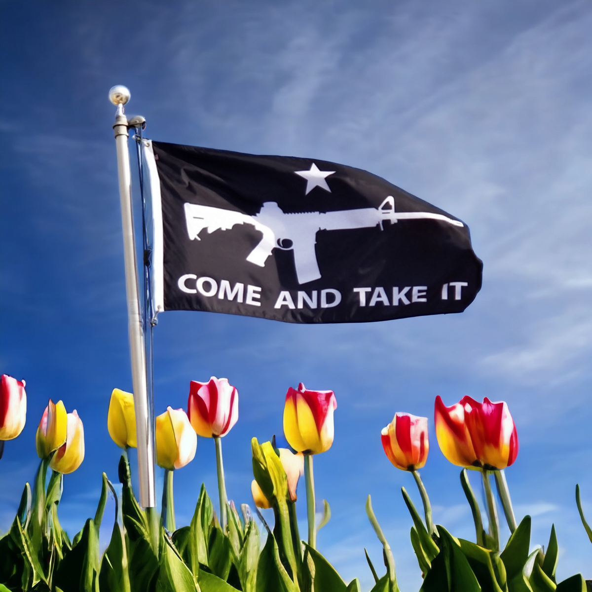 Come and Take It Flag (Black)
