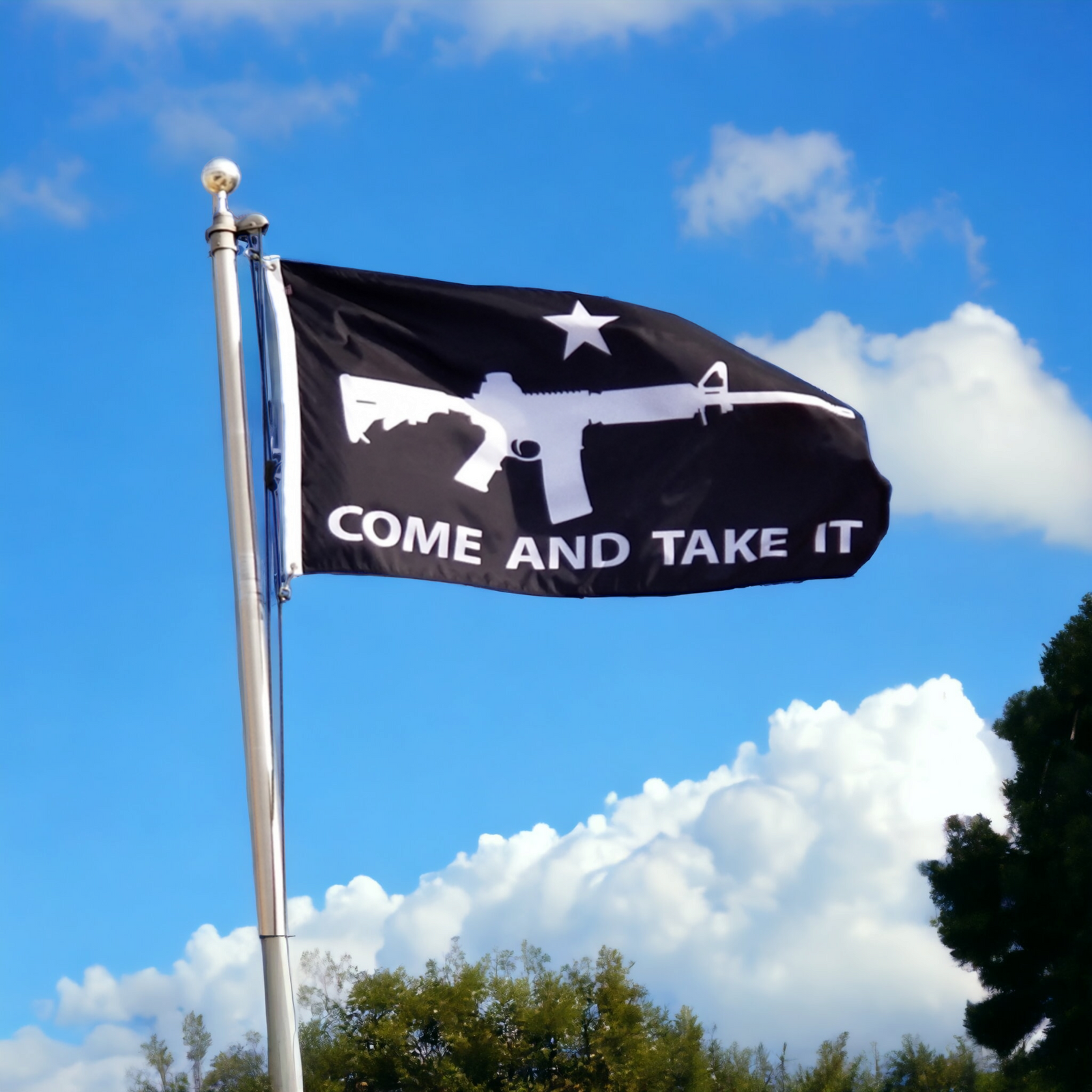 Come and Take It Flag (Black)