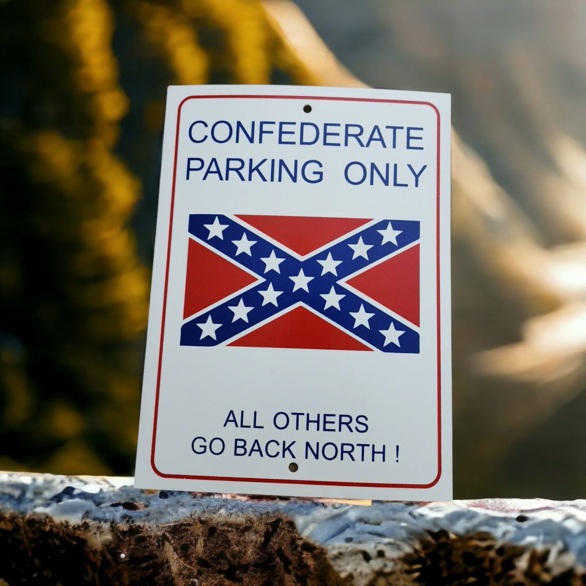 Parking Only Sign